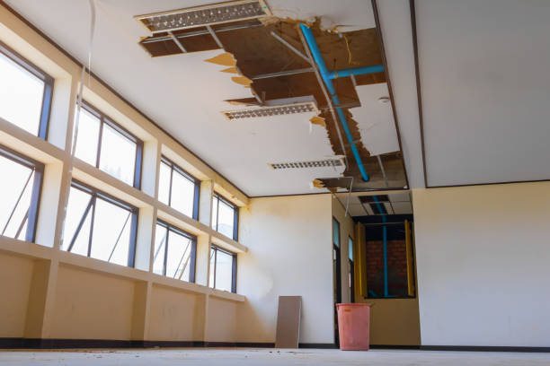 Best Water damage contractors near me  in Leisure Village, NJ
