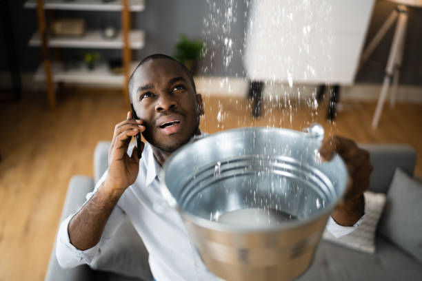 Best Water damage restoration near me  in Leisure Village, NJ