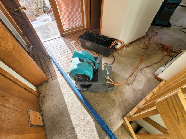 Best Flood restoration services  in Leisure Village, NJ
