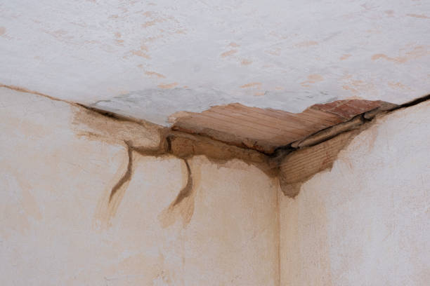  Leisure Village, NJ Water damage restoration Pros