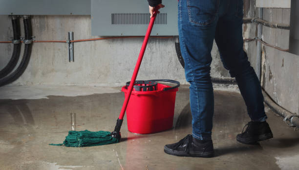 Trusted Leisure Village, NJ Water damage restoration Experts