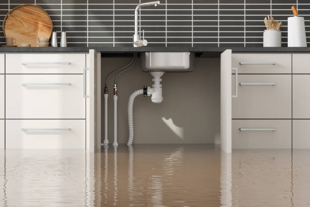 Best Ceiling water damage repair  in Leisure Village, NJ