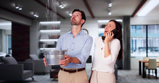 Best Water damage restoration specialists  in Leisure Village, NJ