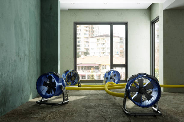 Best Ceiling water damage repair  in Leisure Village, NJ